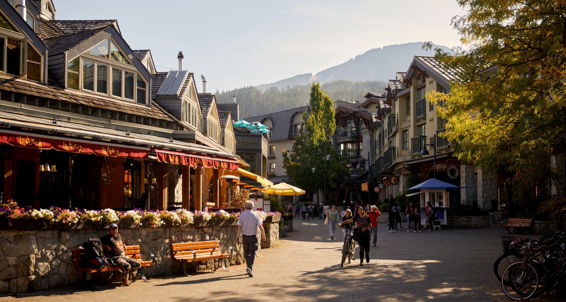 Whistler ‘Just Used to Be a Ski Town.’ Now Buyers Want to Live There Year-Round